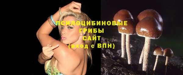 спайс Баксан