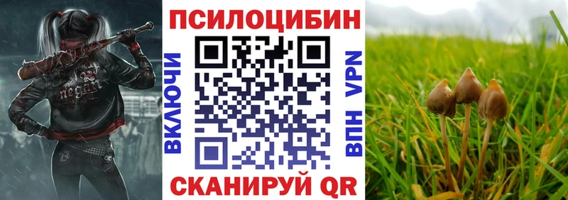 Галлюциногенные грибы прущие грибы  Белый 