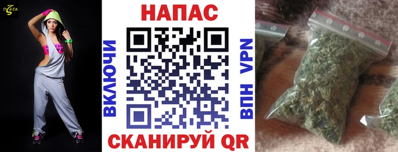 Конопля сатива  как найти наркотики  Белый 